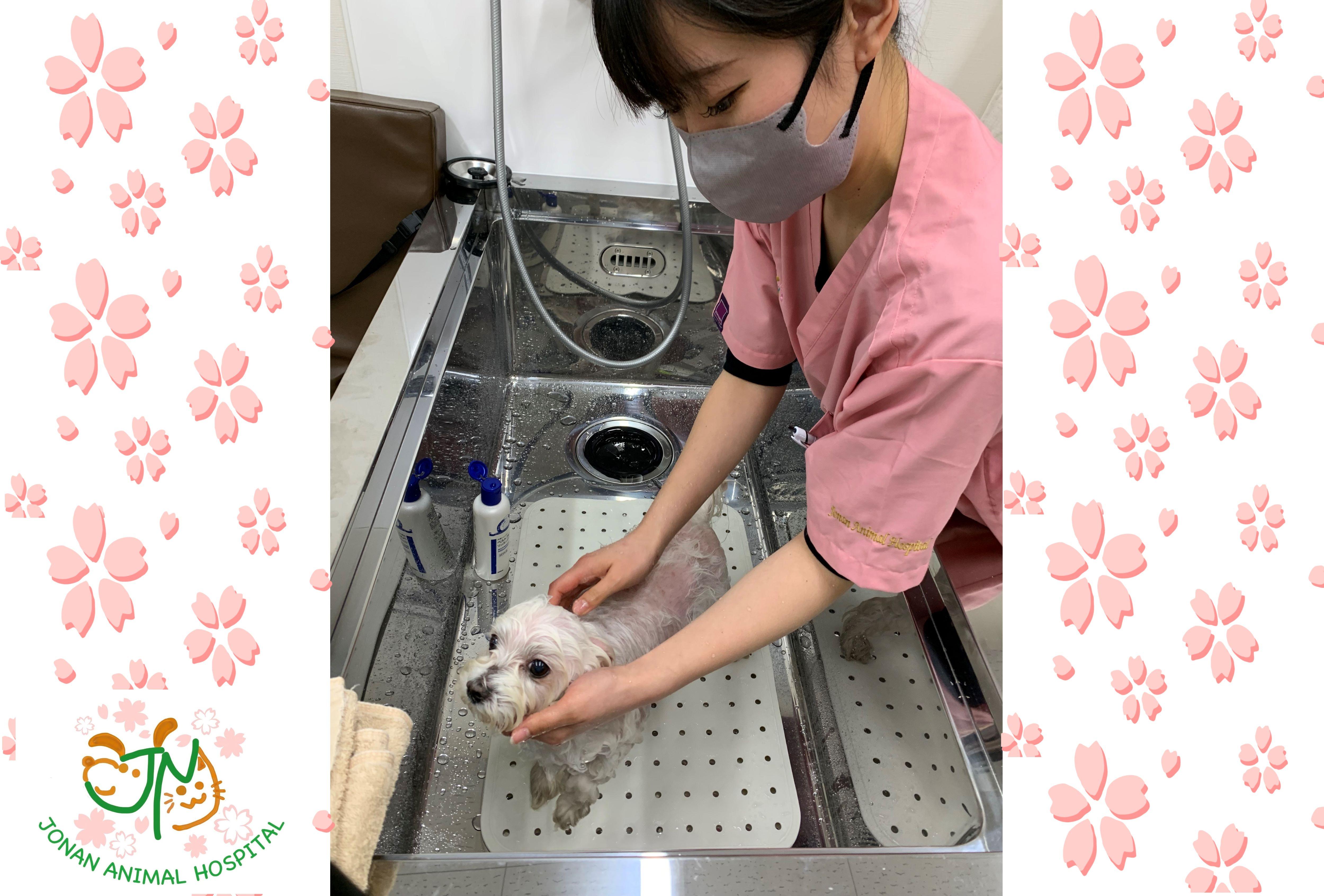 【正社員】トリマー(条件②)募集！【急募】