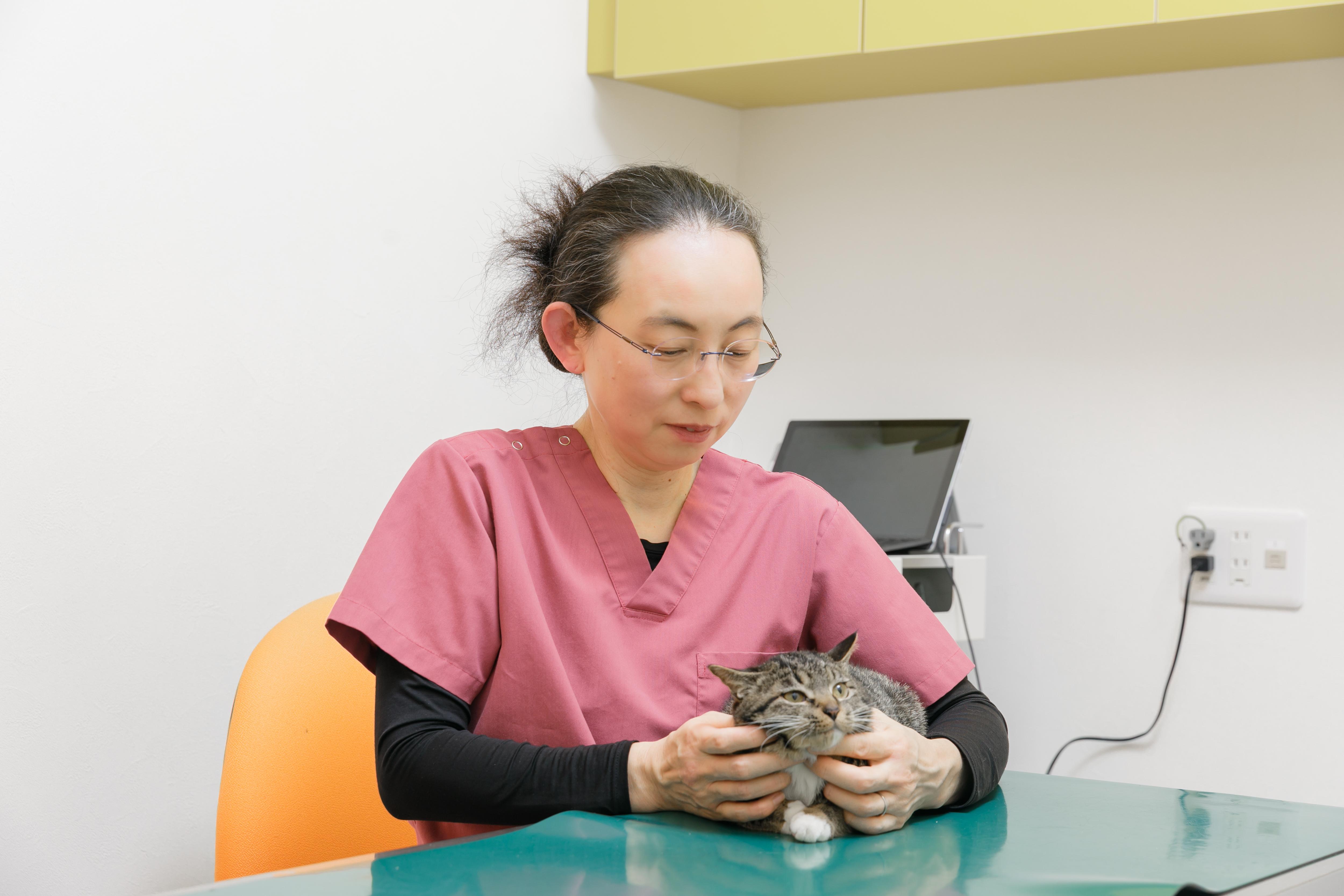 非常勤獣医師、募集中。