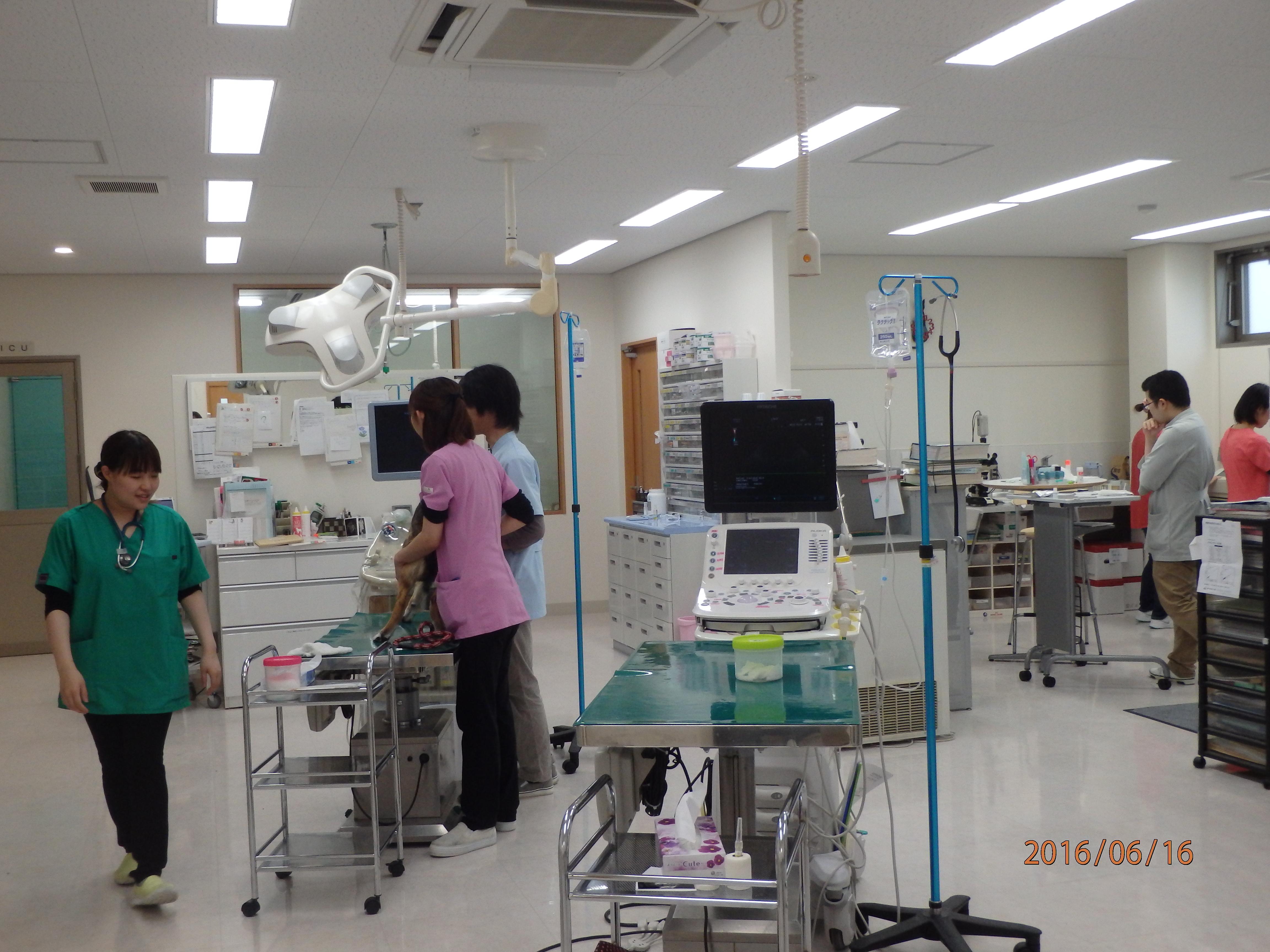 診察室後方は2台の超音波検査装置がある広い処置スペースです。