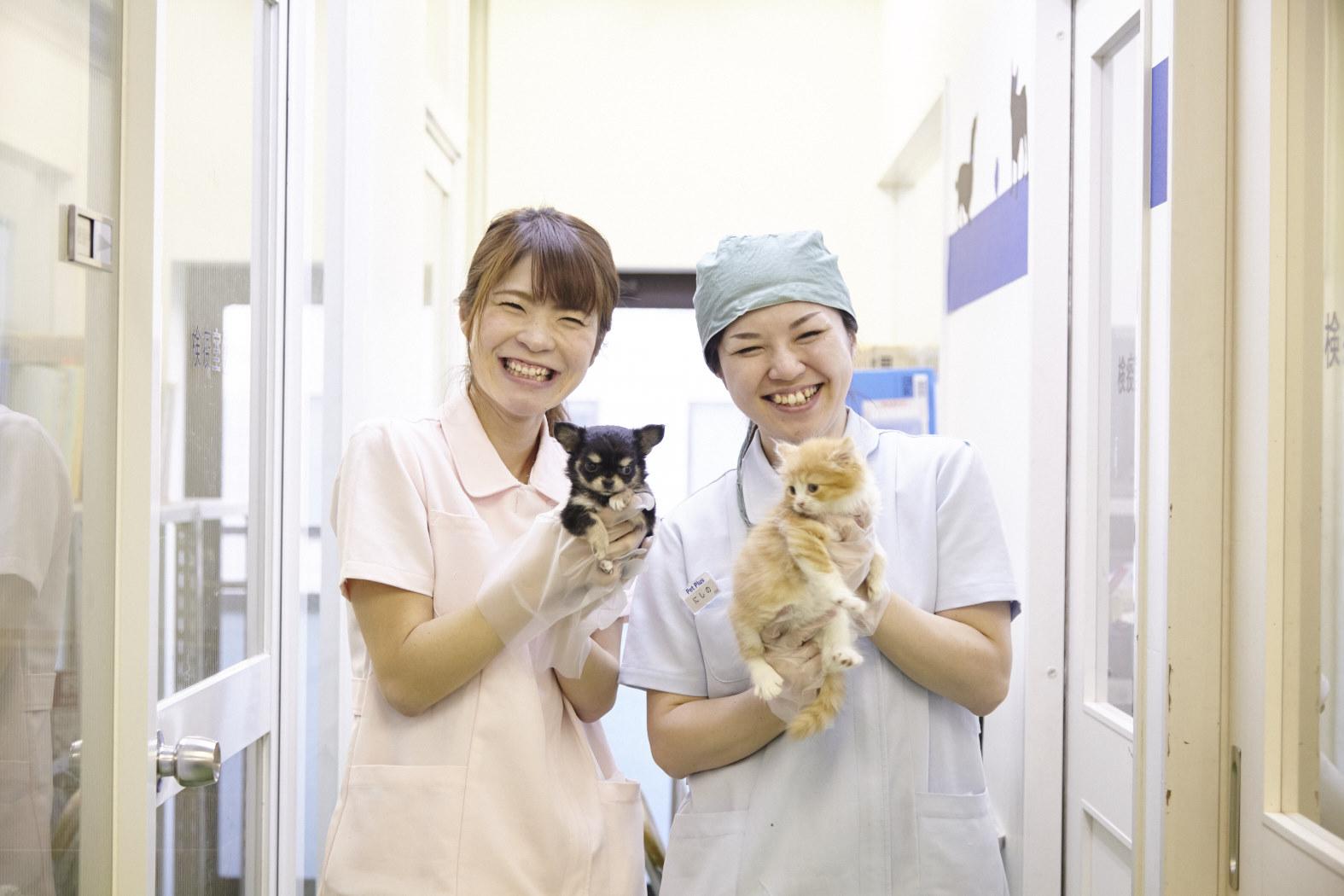 【静岡県富士市】子犬子猫のお世話のお仕事♪【アルバイト】