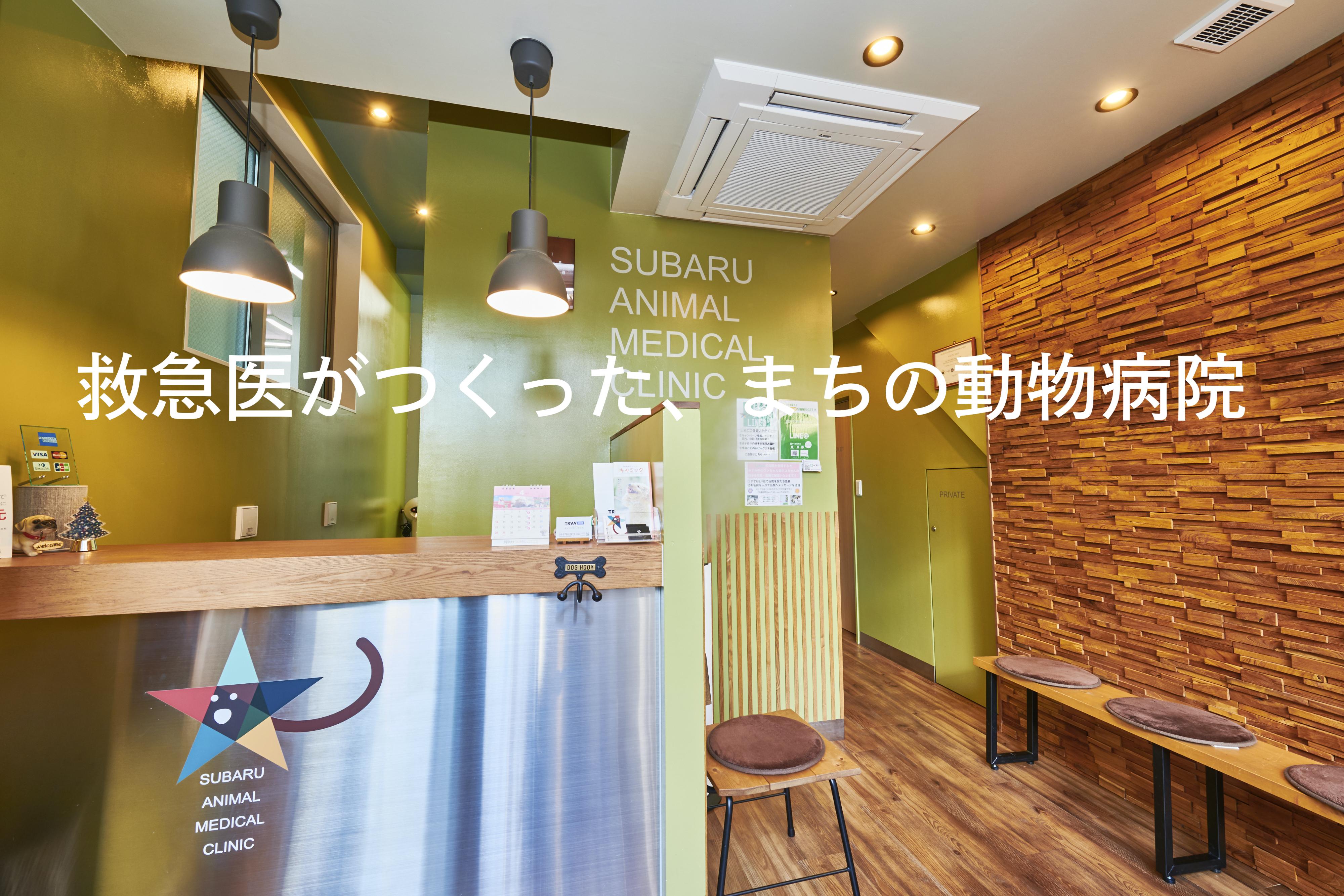 働きやすさ抜群！自由が丘徒歩圏内の落ち着いた病院です。