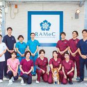がじゅまる動物クリニック、琉球動物医療センターの総勢スタッフです。
