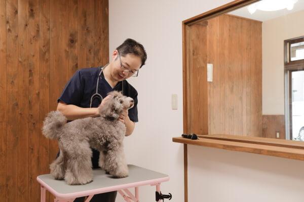 獣医師が在勤しているので、医療面でのサポートも可能です