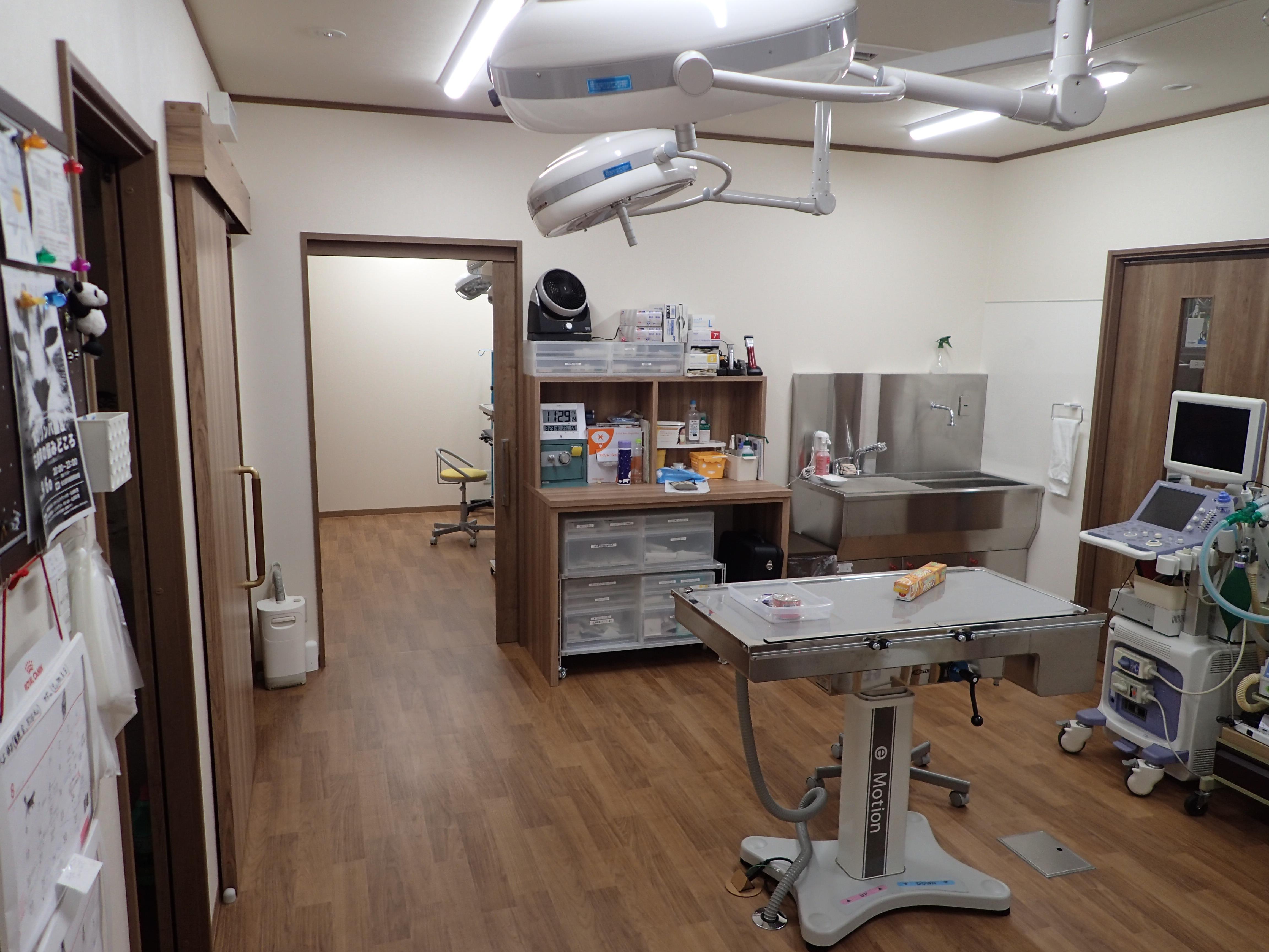 処置室。左には猫入院室右には薬局と検査室、奥は手術室となっています。