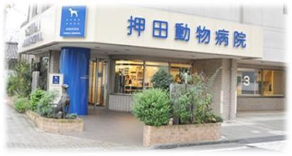 埼玉県の求人情報を全46件表示中 動物病院 獣医師 動物看護師 トリマーの求人サイト ペットリクルート