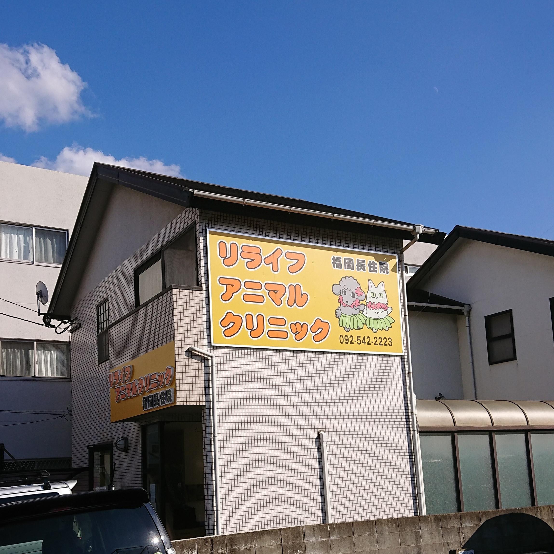 獣医師【福岡市内で猫専門診療】週２が基本、掛け持ち歓迎