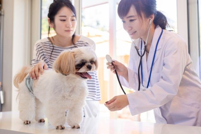 兵庫県/地域密着型動物病院で動物看護師さん募集