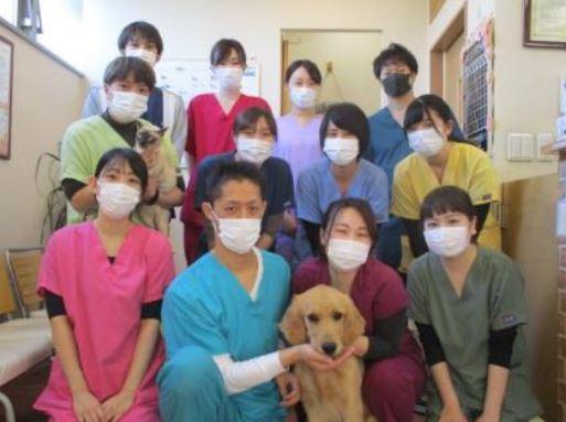 【中途募集　実習大歓迎！】川崎市中原区　正社員動物看護師募集