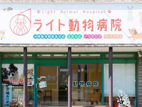 ライト動物病院