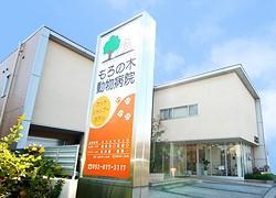 【社保完備】名古屋市緑区　もろの木動物病院　獣医師急募！！
