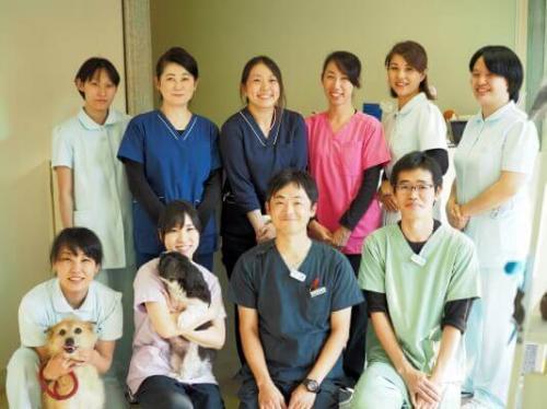 千葉県・動物看護師　社会保険完備