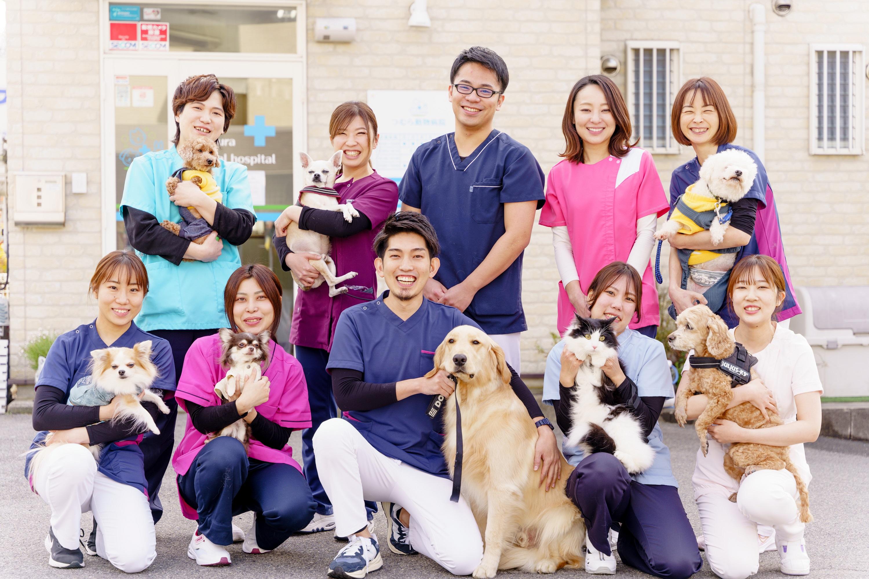 つむら動物病院 仕事も遊びも全力でいこう 動物病院 ペット業界の求人転職サイト ペットリクルート