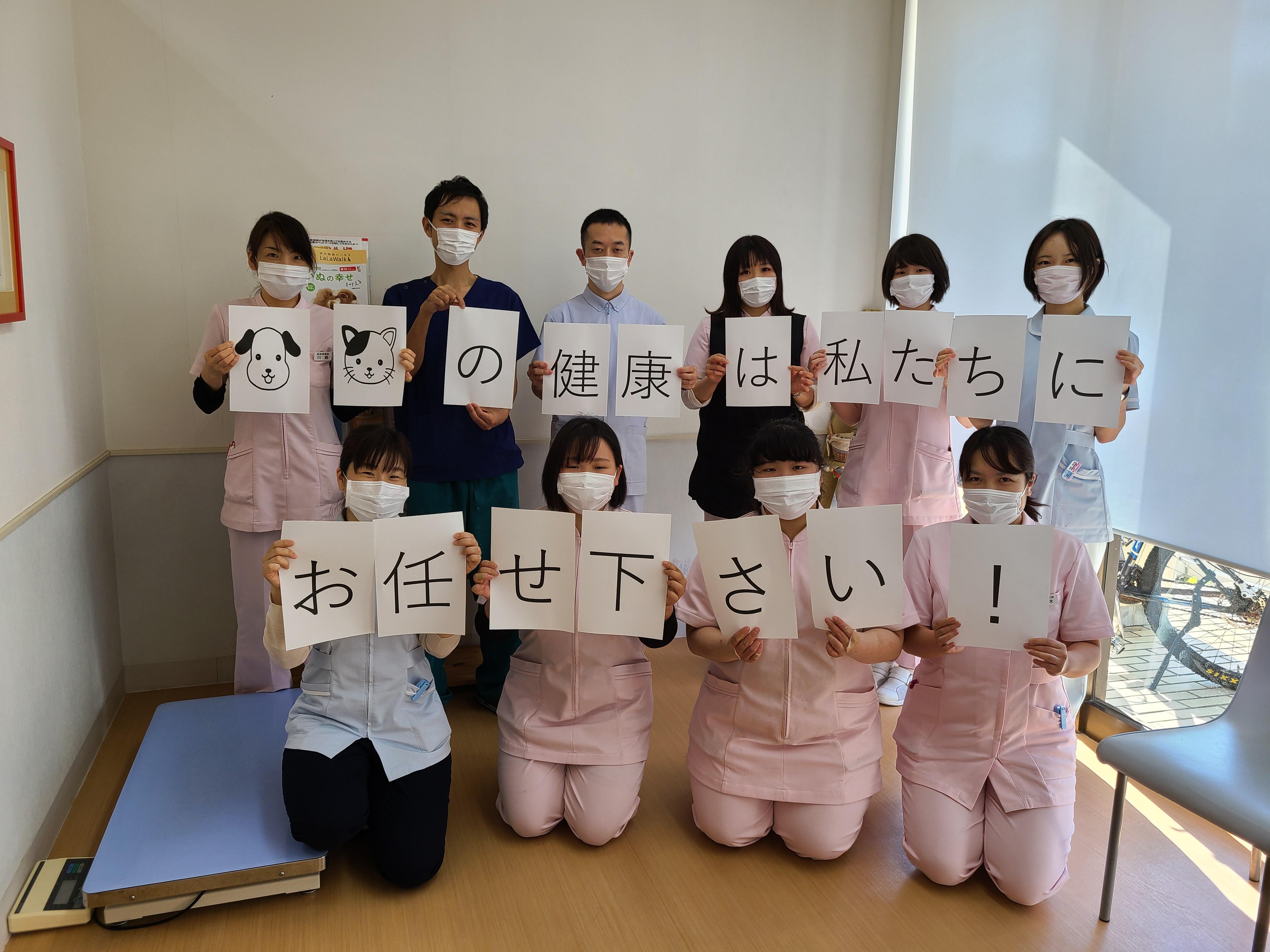 名古屋市天白区 しっぽ動物病院　動物看護師募集中！