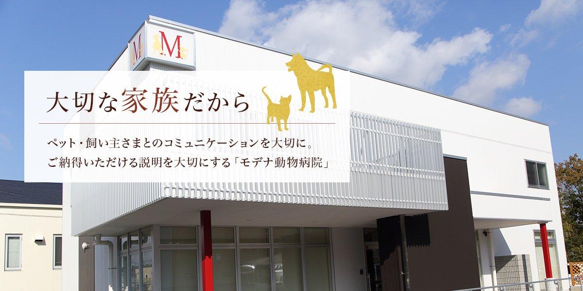 神戸市西区の動物病院で看護師さん募集！！