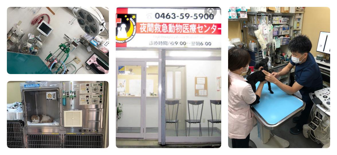 夜間救急獣医師短時間アルバイト【週1日4時間～】Wワーク歓迎