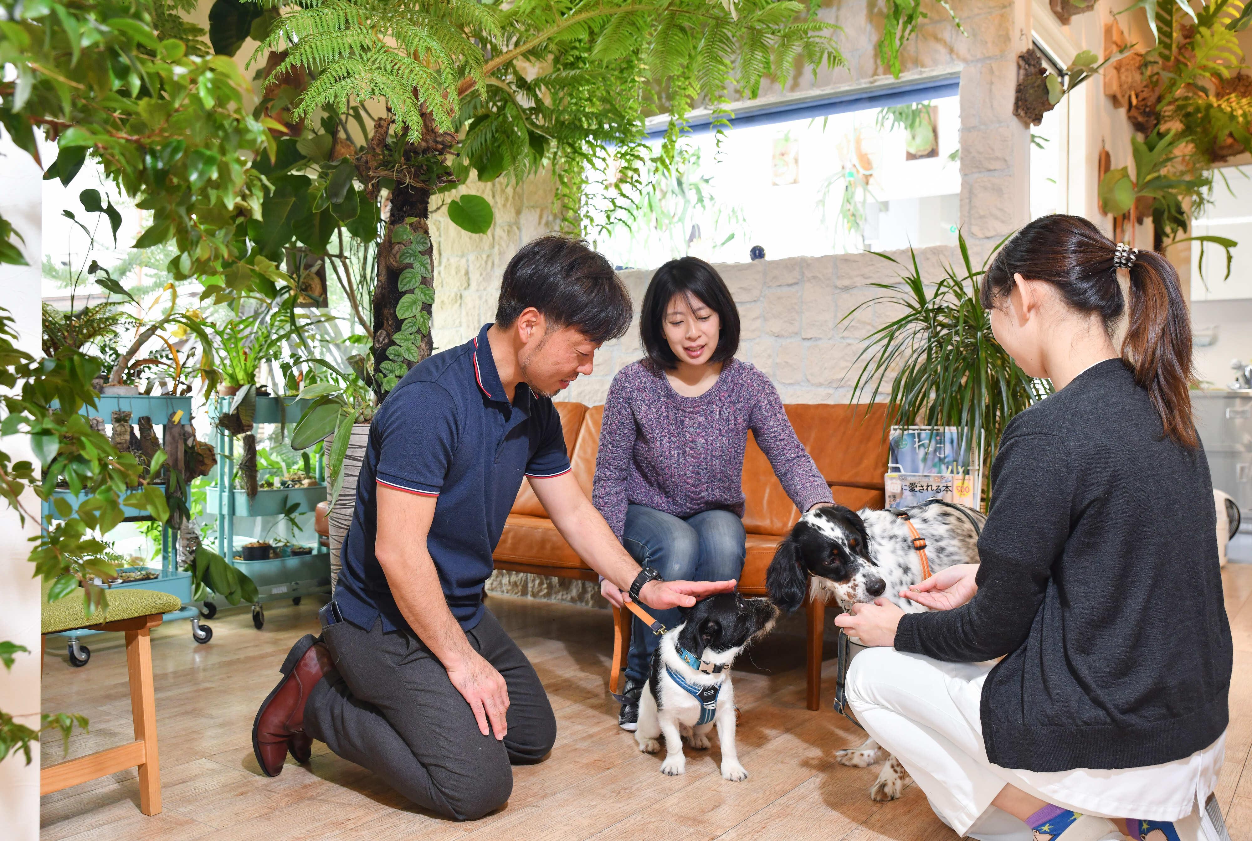 トレア 動物 病院