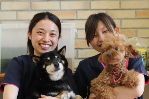 ひまわり動物病院