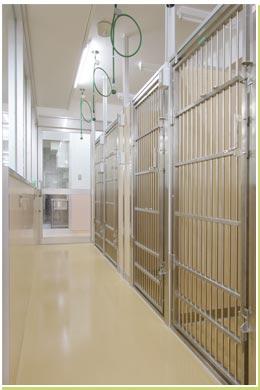 大型犬入院室