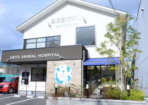 右京動物病院 HEALTH CARE CENTER