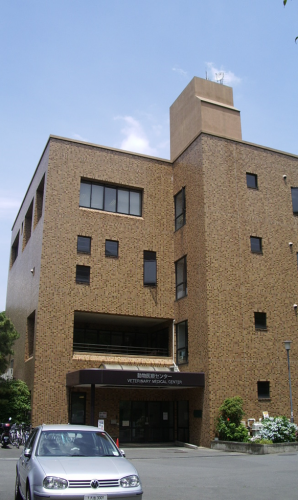 東京大学附属動物医療センター