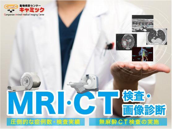 CT･MRI画像診断に興味ある獣医師募集(画像診断未経験歓迎