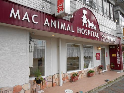 マック動物病院