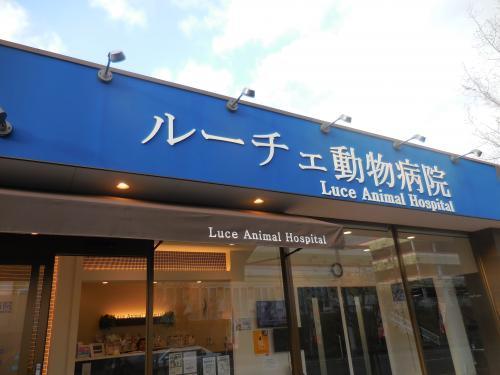 【獣医師募集】　正社員　大阪府堺市南区の病院です