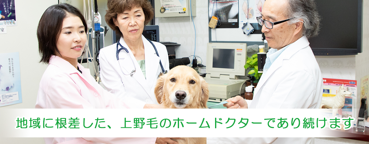 【週2日～】動物看護師、パート・アルバイト