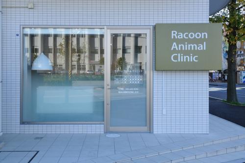  Racoon Animal Clinic
