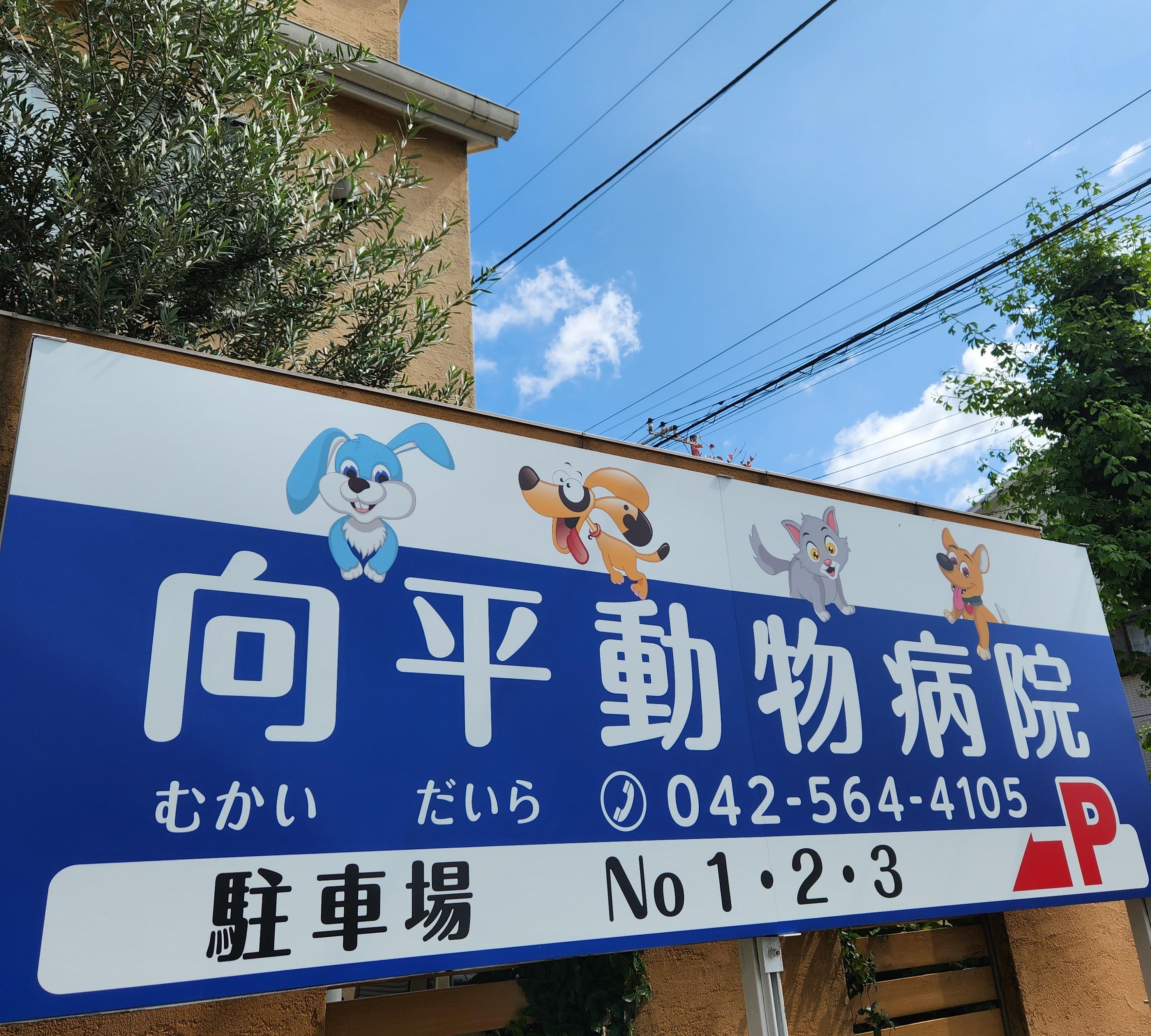 動物好きな動物看護師・トリマーさん募集