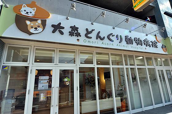 【獣医師募集】大田区 ：大森どんぐり動物病院  