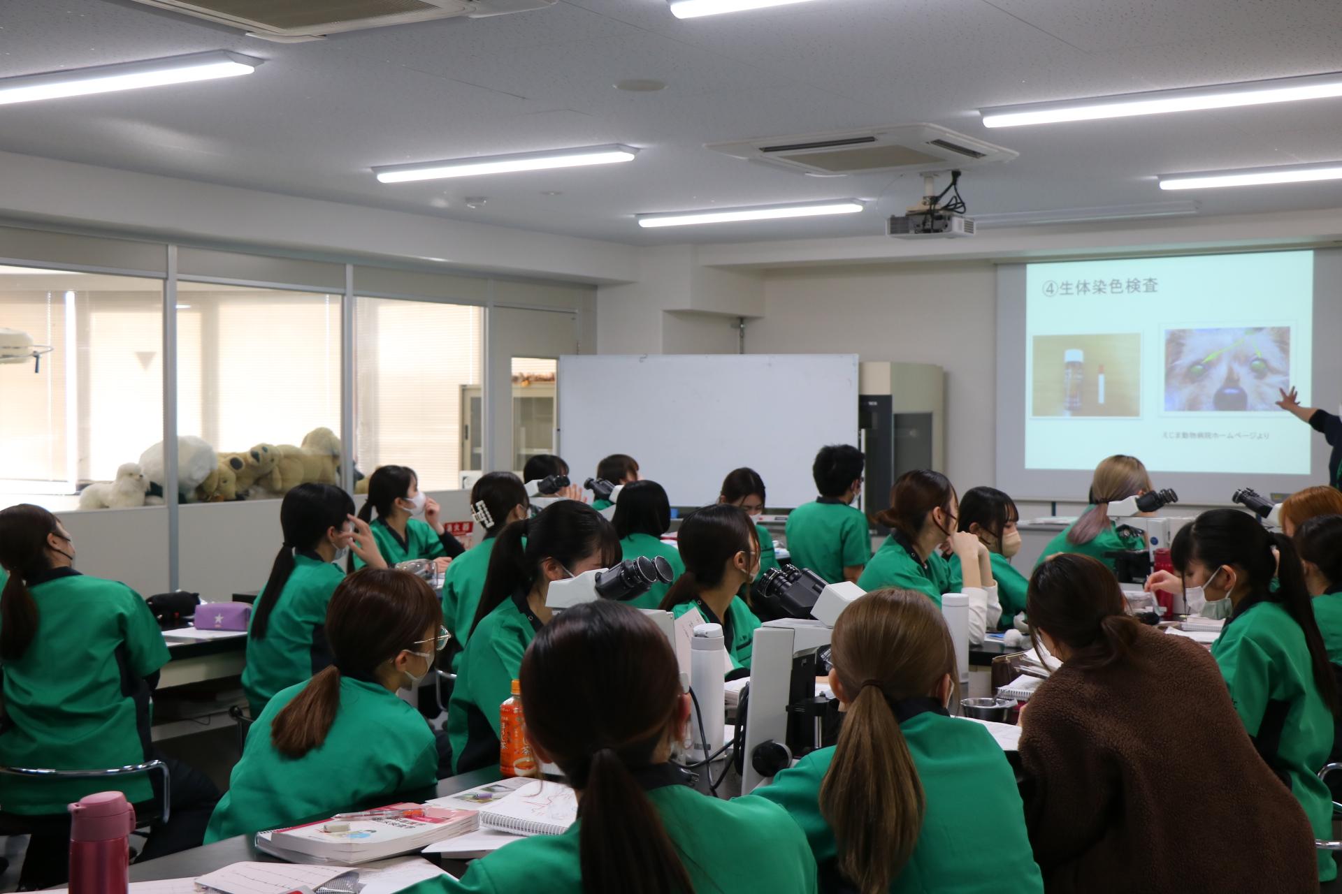 トップ yic京都ペット総合専門学校 京都府京都市下京区