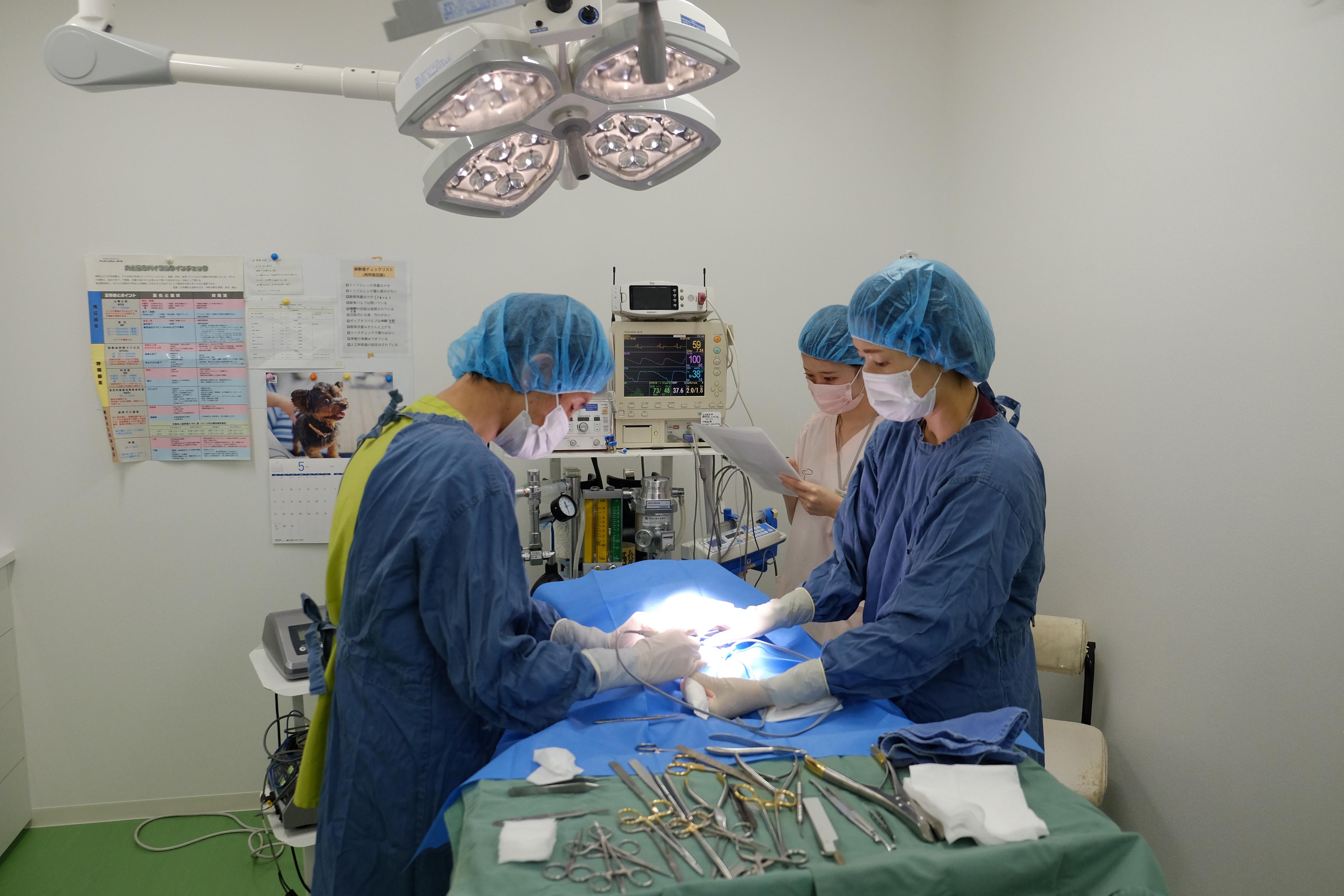 手術麻酔の件数も多く、麻酔管理や術後管理など、活躍の場は多いです。