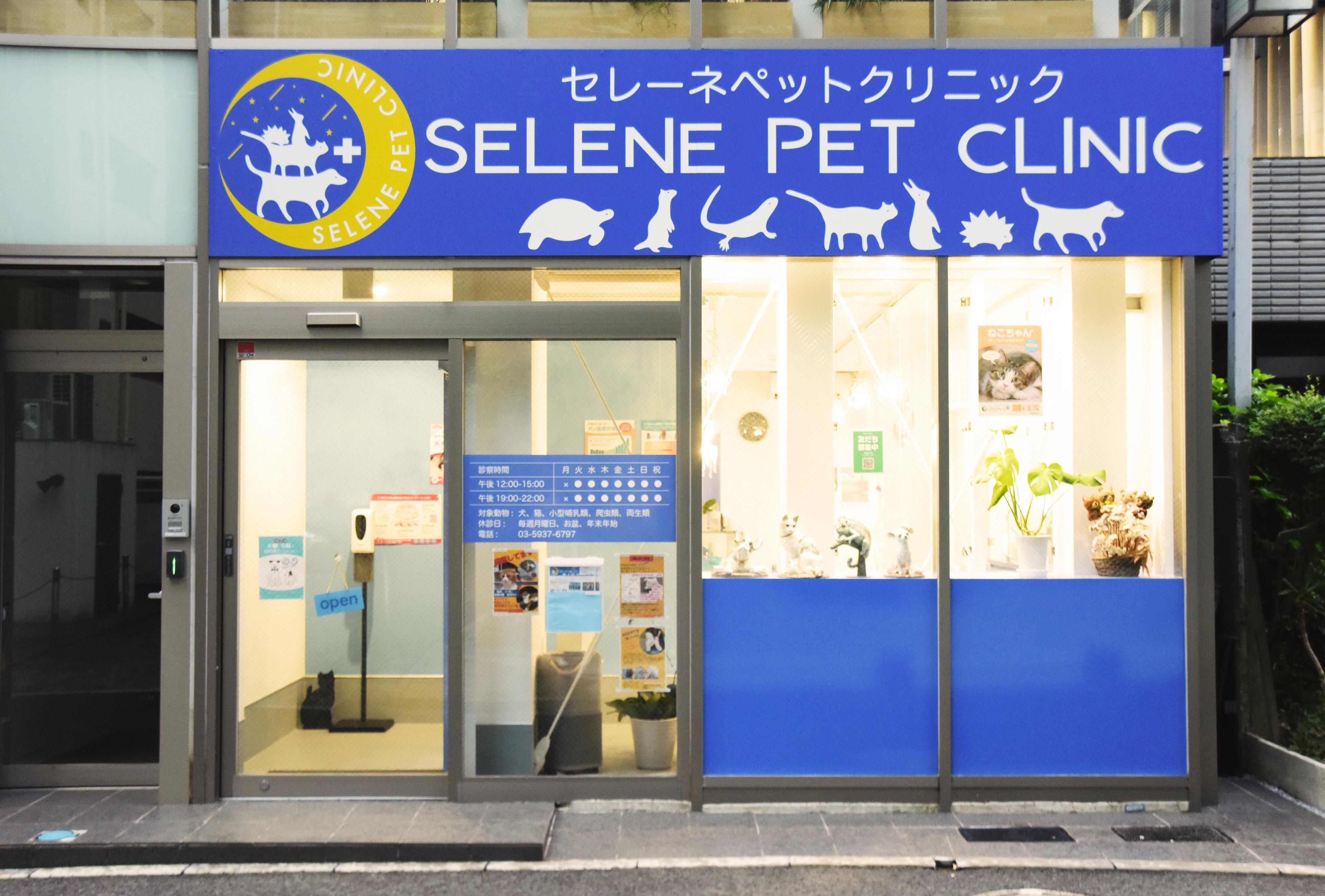西新宿　セレーネペットクリニック　愛玩動物看護師募集
