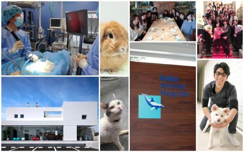 【静岡市】新卒動物看護師～パピー教室や子猫塾実施～