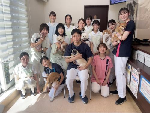 町田市の動物病院 動物看護師募集！経験者の方