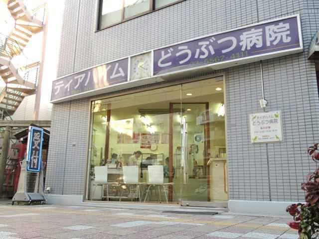 動物看護師募集！　経験者優遇　未経験者可　新卒歓迎　正社員