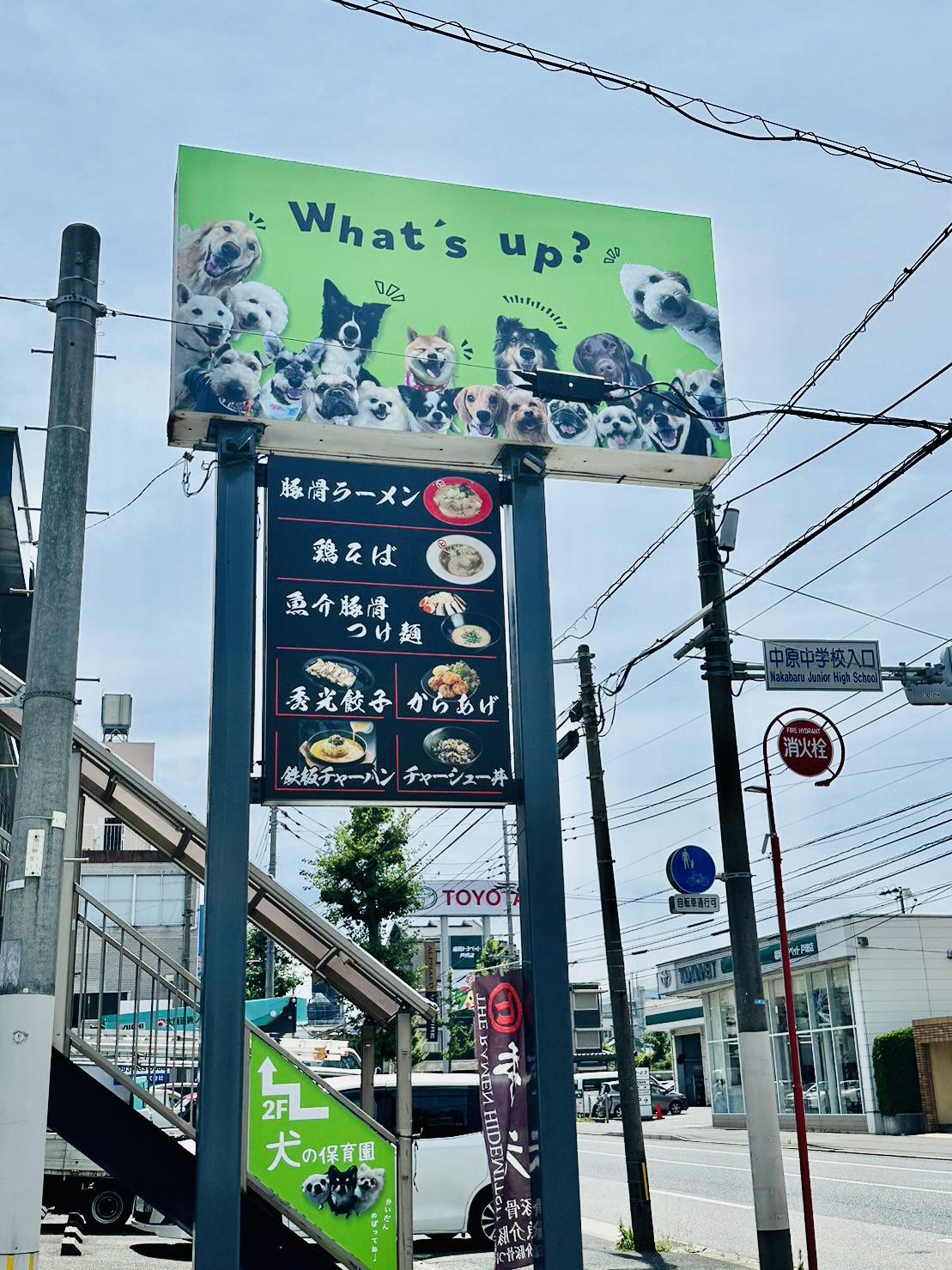 ペットの保育園 オファー 求人