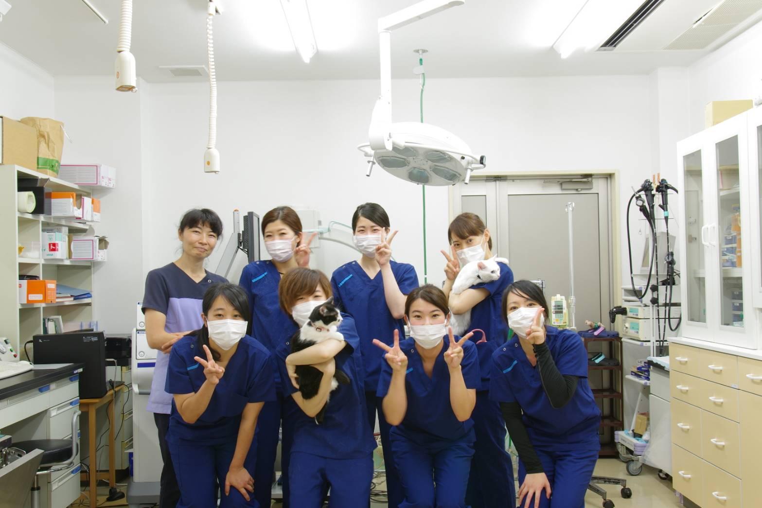 フジサト 動物 病院