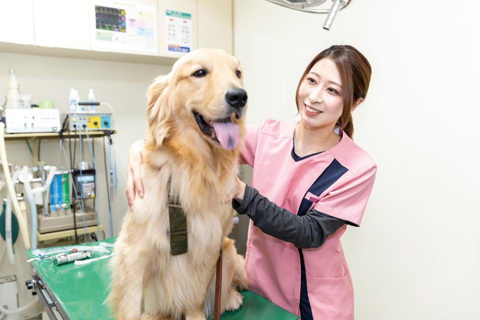 飼い主様や獣医師から 信頼される動物看護師を目指しています