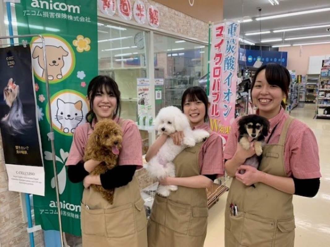 ☆ディスワン新横浜店で犬猫販売員募集！☆