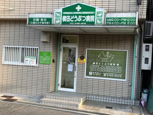 横田動物病院