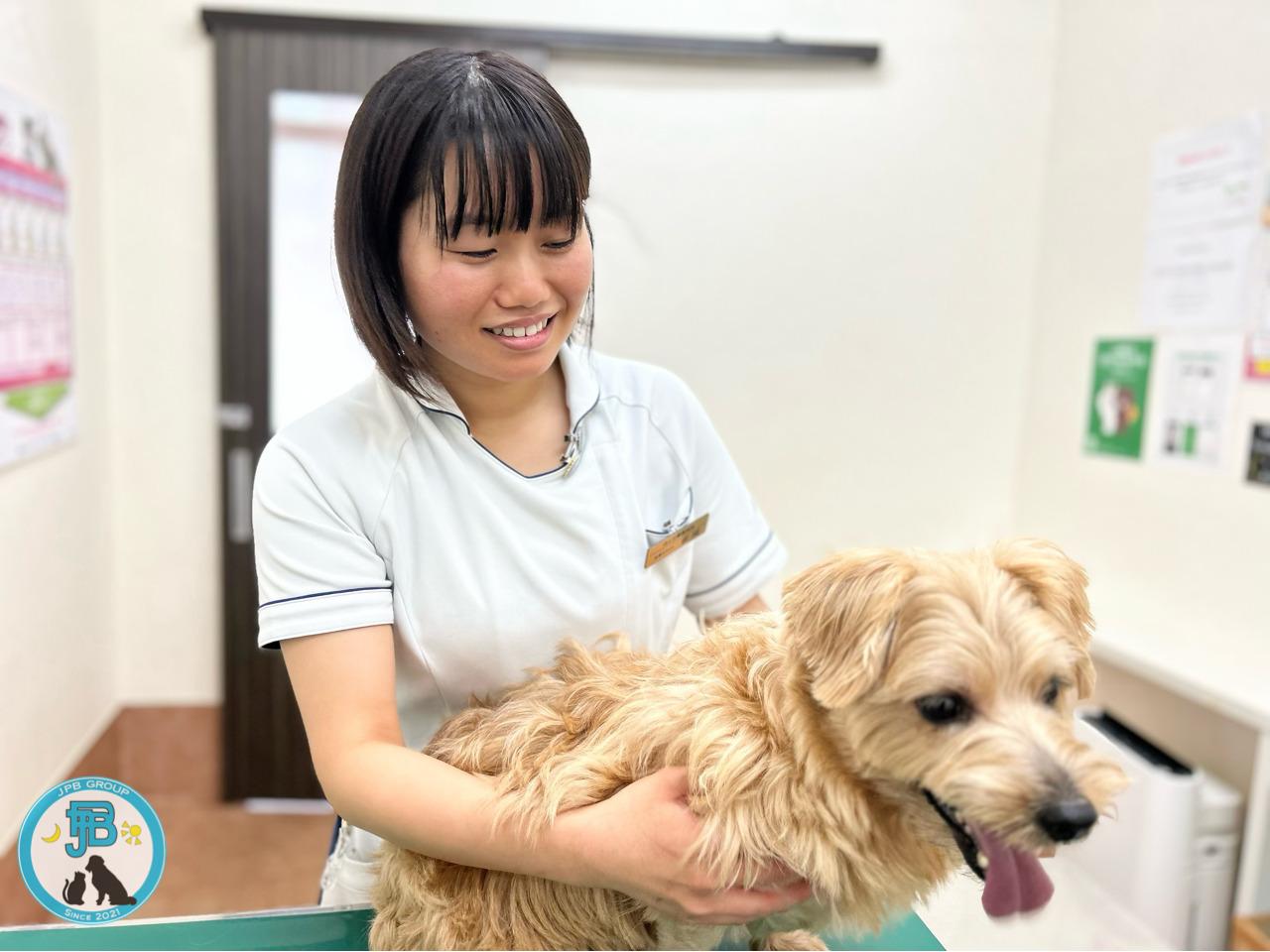 【愛玩動物看護師】 千葉県千葉市ほんだ動物病院