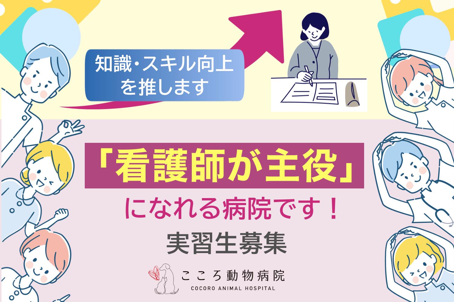 看護師が主役になれる病院です！/広島市内