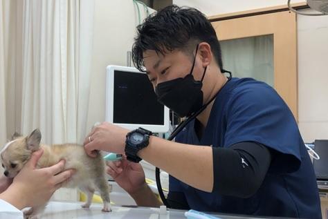 動物病院での獣医師（福岡）