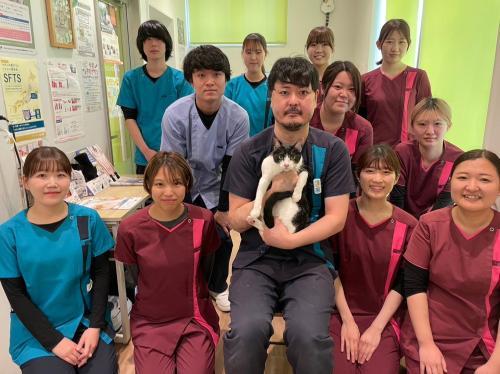 【社保完備】広島市 まるペットクリニック 愛玩動物看護師募集