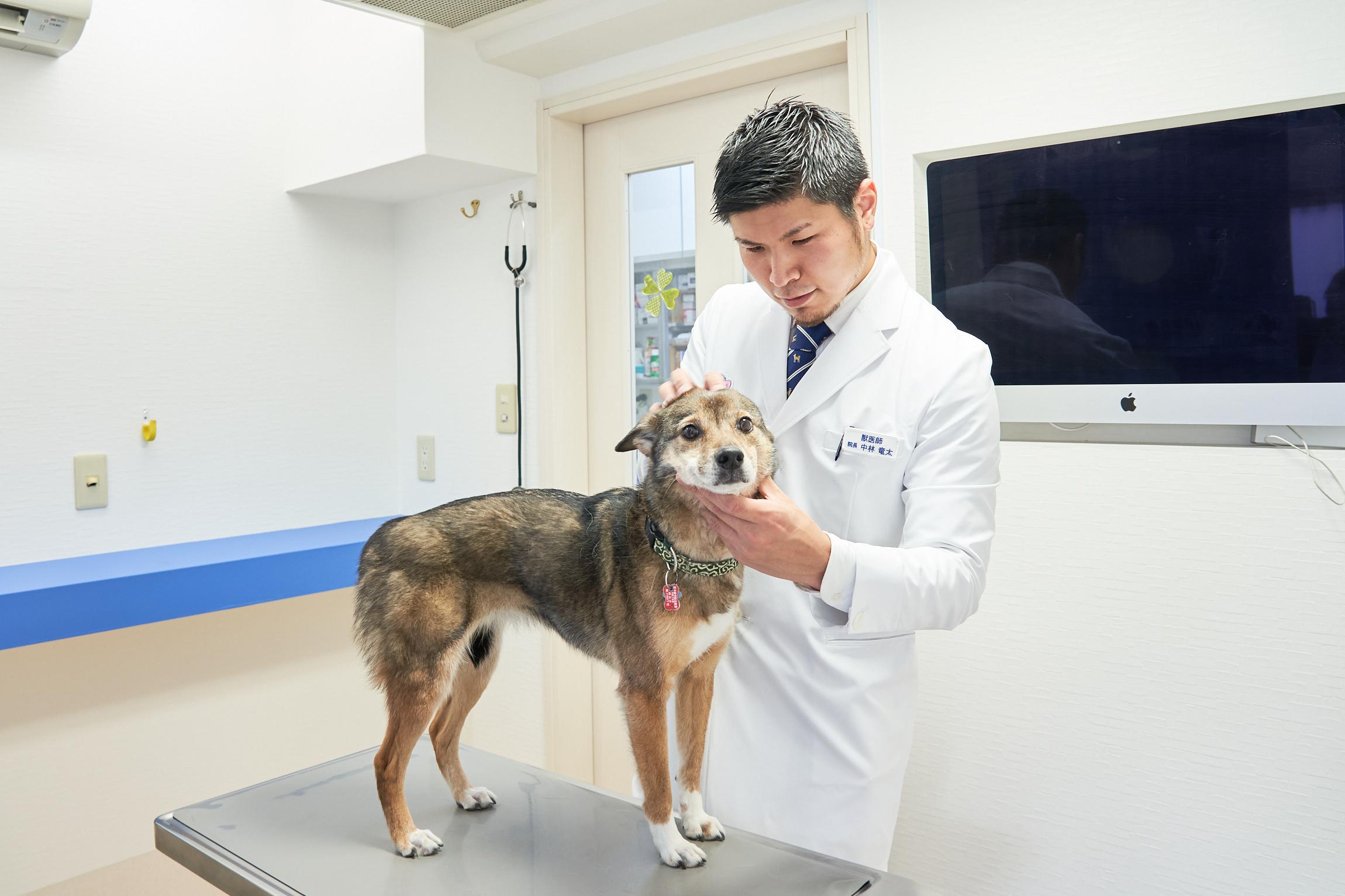 院長と愛犬「たわし」です。