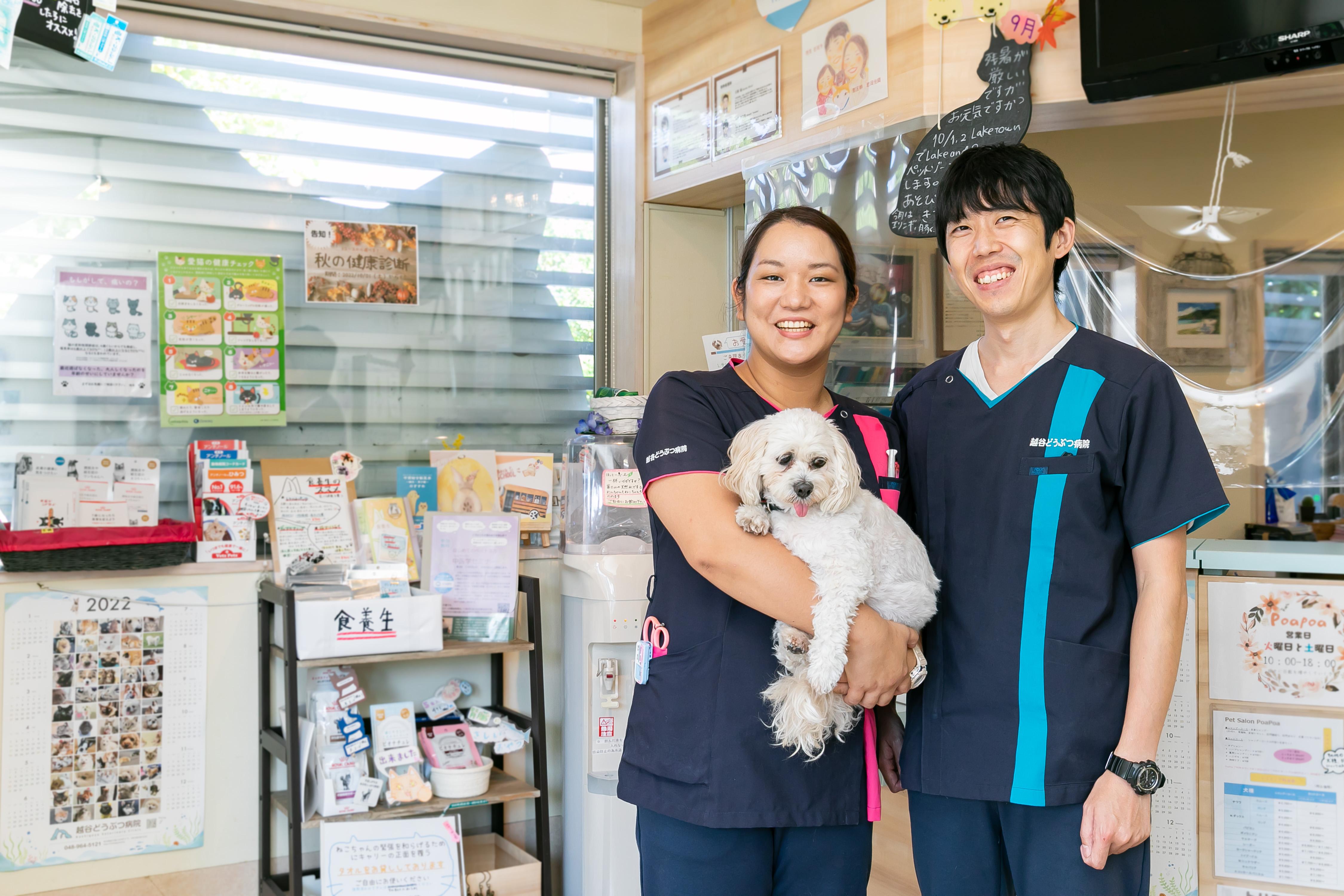 越谷どうぶつ病院　正社員　動物看護師募集