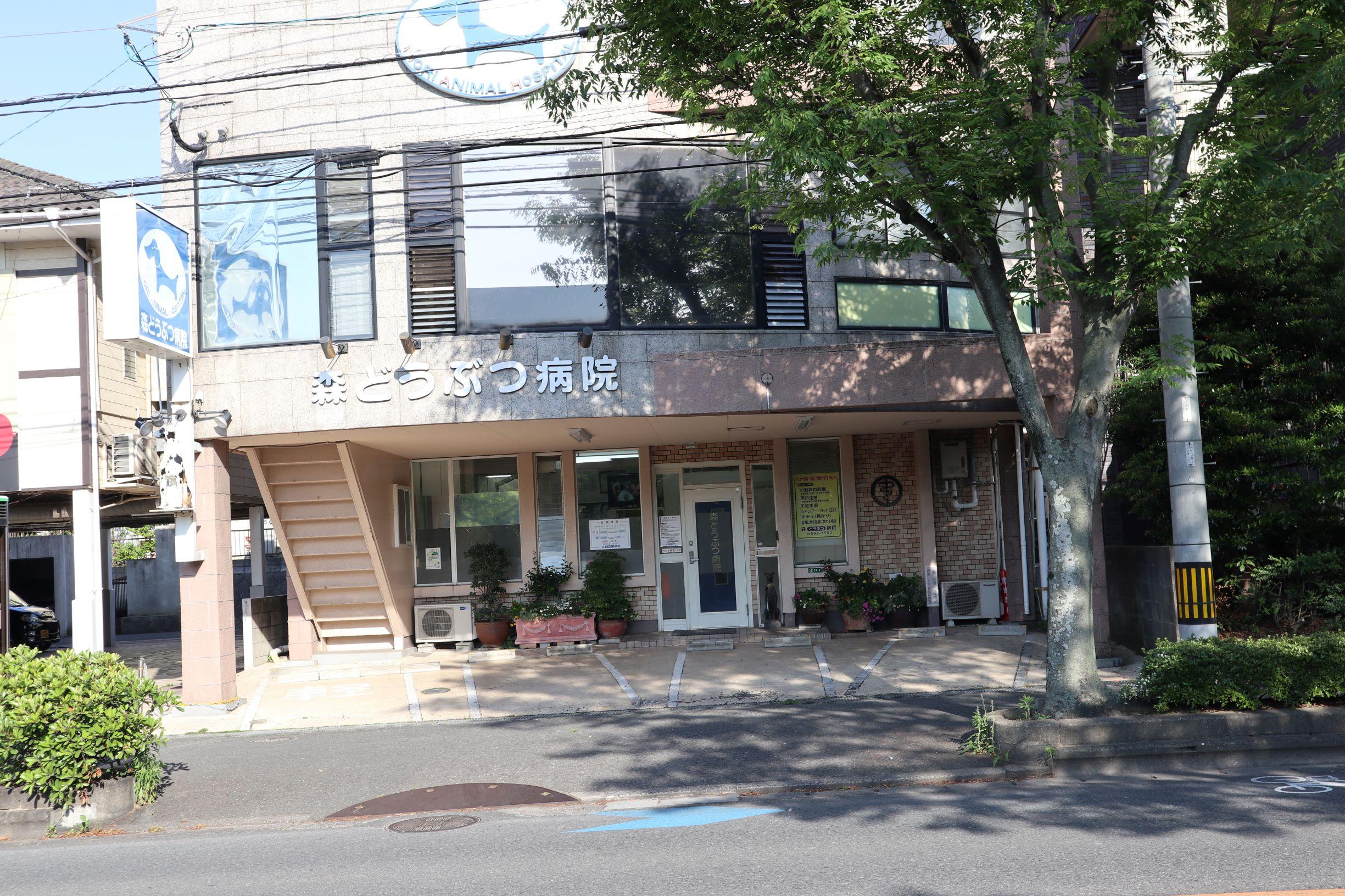 【動物病院スタッフ 募集】　北九州市　森どうぶつ病院