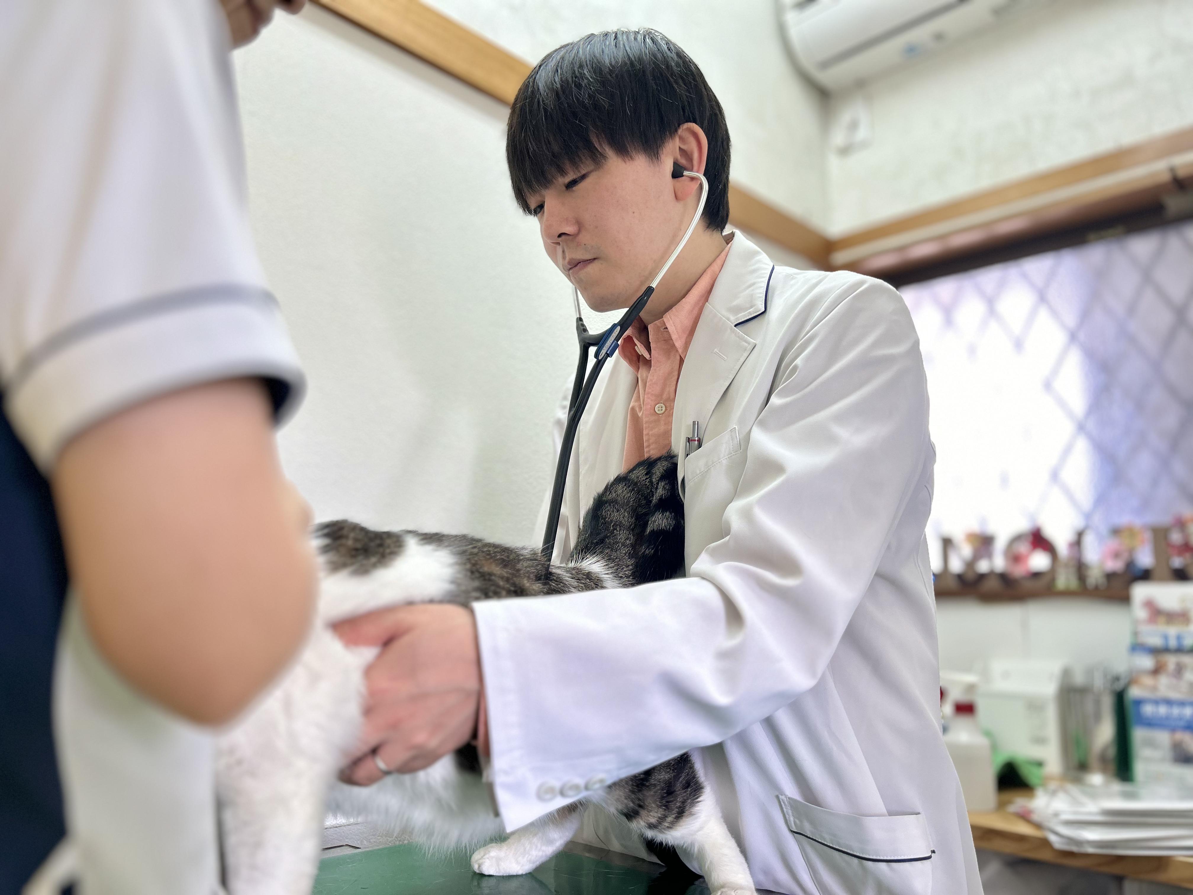 【新卒獣医師】最速で成長を目指せます！アムール動物病院